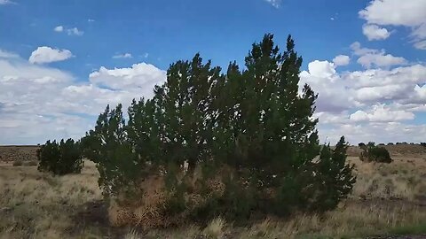 Driving at Wupatki National Monument