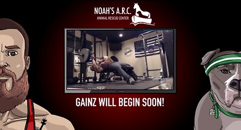 Gym Session w/Hank-a-Tank [Week 31] - Legs & Gunz // Animal Rescue Stream :)