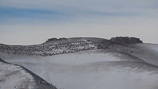 HOW MANY ELK? GIVE YOUR BEST GUESS! LARGEST ELK HERD EVER. . .MOUNTAIN ANTS! . . .Video #3