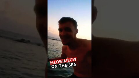 Meowing Around on the Caribbean Ocean