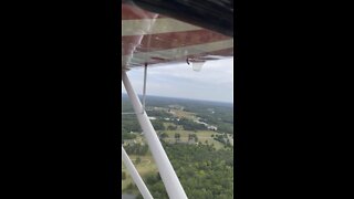 Grass Field Landing, York SC, 01SC. Citabria Adventure