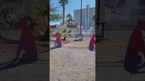 The Las Vegas Strip Has a Hidden Dog Park