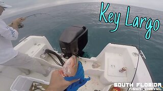 Taking a Subscriber Patch Reef Fishing | Key Largo Catch N Cook