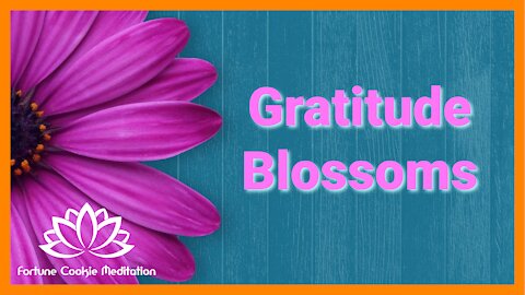 ❤️🙏🥰 [Grateful for life, Gratitude Blossoms, Happiness - Fortune Cookie Meditation Channel]
