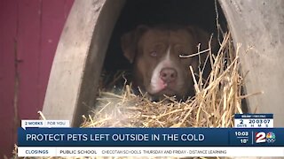 Protect pets left outside in the cold