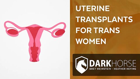Uterus transplants for males to help consolidate their identities (from Livestream #188)