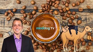 Coffee with the Dog EP382 - WTF Wednesday?