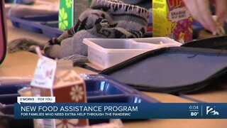 New food assistance program for families
