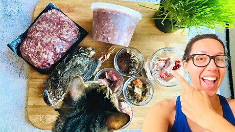 EXACTLY how I meal prep raw + whole prey cat's diet one week