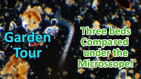 Journey into the Soil, end of August Garden Tour comparing 3 beds under the Microscope!
