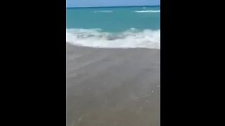 Summer Ocean waves Melborne, Florida