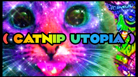 Cat Nip Utopia