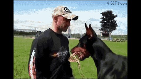 Training to protect with dog