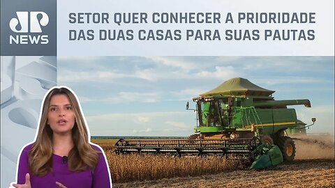 Kellen Severo: Eleições no Congresso estão na mira do agro