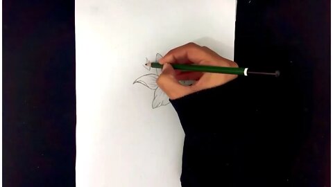 How To Draw Flowers Easy