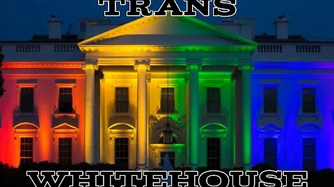 Trans Whitehouse