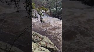 Waterfall After 2 Inches Of Rain #rain #storm #waterfall #river #shorts