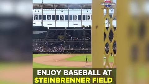New York Yankees Spring Training at George M. Steinbrenner Field | Taste and See Tampa Bay
