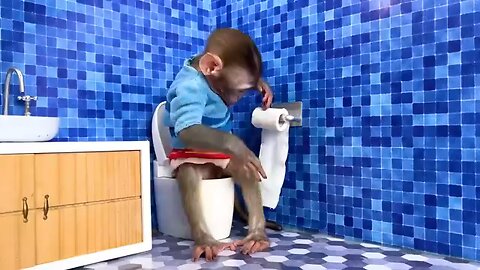 Monkey baby #funny #kids #animal #cartoon #funnyvideo #funny videos