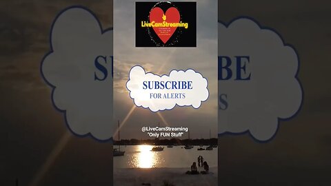 Time-Lapse Sit Right Here: Sunset Time in Tampa #shorts #short #youtubeshorts