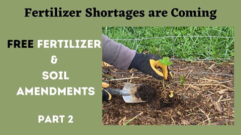 Fertilize & Amend Your Garden For Free! Part 2