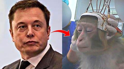 ELON MUSK'S MONKEY EXPERIMENT! 😳 | VICNEWS