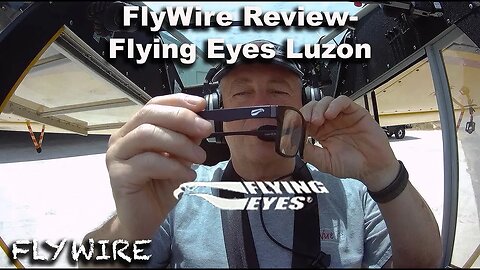FlyWire Review FlyingEyes Luzon