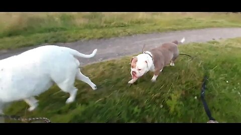 Winnie en Famke in Sneek Rasterhof park