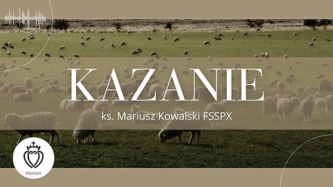 Kazanie - II niedziela po Zmartwychwstaniu - ks. Mariusz Kowalski | 14.04.2024