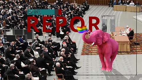 Catholic — News Report — ‘Pink Elephant in the Room’