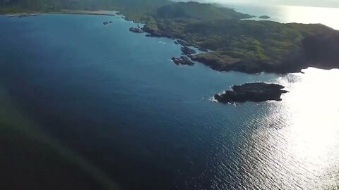 Ireland's Marine Life - Meet the Cast