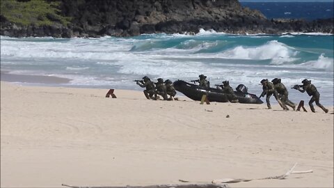 Amphibious Raid - RIMPAC 2022