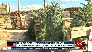 Christmas tree prices increasing this year