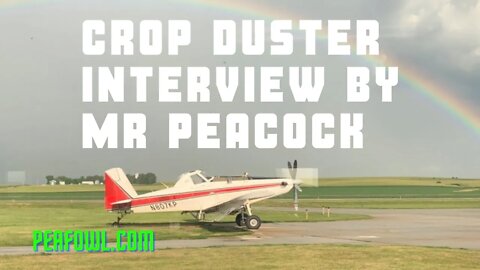 Crop Duster Interview By Mr. Peacock, Peacock Minute, peafowl.com