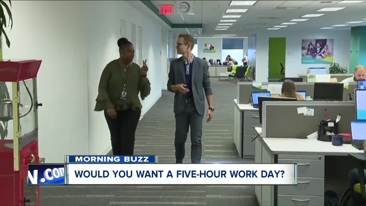 Would you want a five-hour work week?