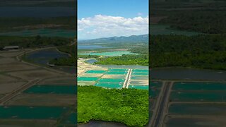 Philippines shrimp farms