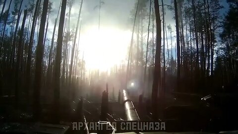 A pair of Russian tankers works on the enemy in the forests.
