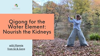 Winter Qigong for the Water element & Kidneys part 1