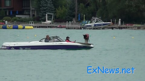 Cadaver Dog on Kalamalka lake