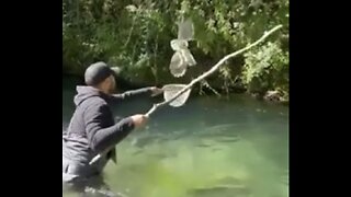 Man Saves Owl's Life & He Appreciates It!