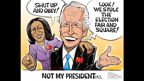 Beijing biden, Headboard harris, critical race theory, wealth tax