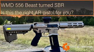 WMD 556 AR Pistol, Is this a good gun for home defense?
