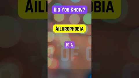 Face your Ailurophobia!