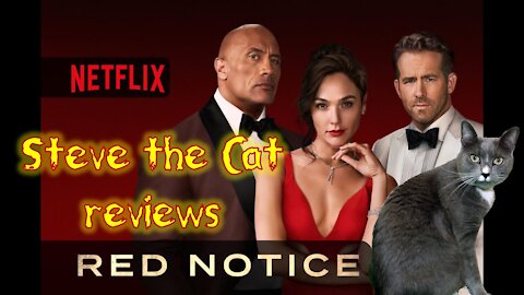 [Red Notice]: Steve the Cat Reviews Netflix's New Film [Red Notice]