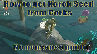 How to get Korok Seed from Cork guide | Zelda TOTK