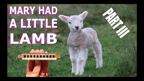 How to Play Mary Had a Little Lamb on the Harmonica Part 3