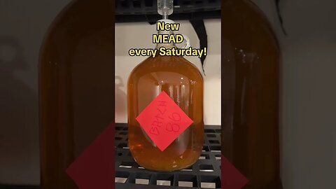 New MEAD every Saturday! #mead #honeywine #alcohol #homebrew