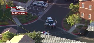 Police activity near Hualapai and Alexander