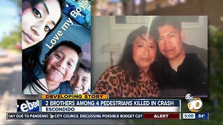 4 family members hit and killed by car on Escondido street