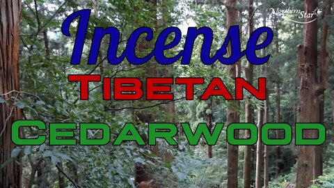 Tibetan Cedarwood Incense - Set of 3 Tubes - Northern Star Products